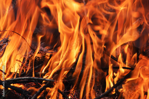 Bright background of burning orange flames, close-up