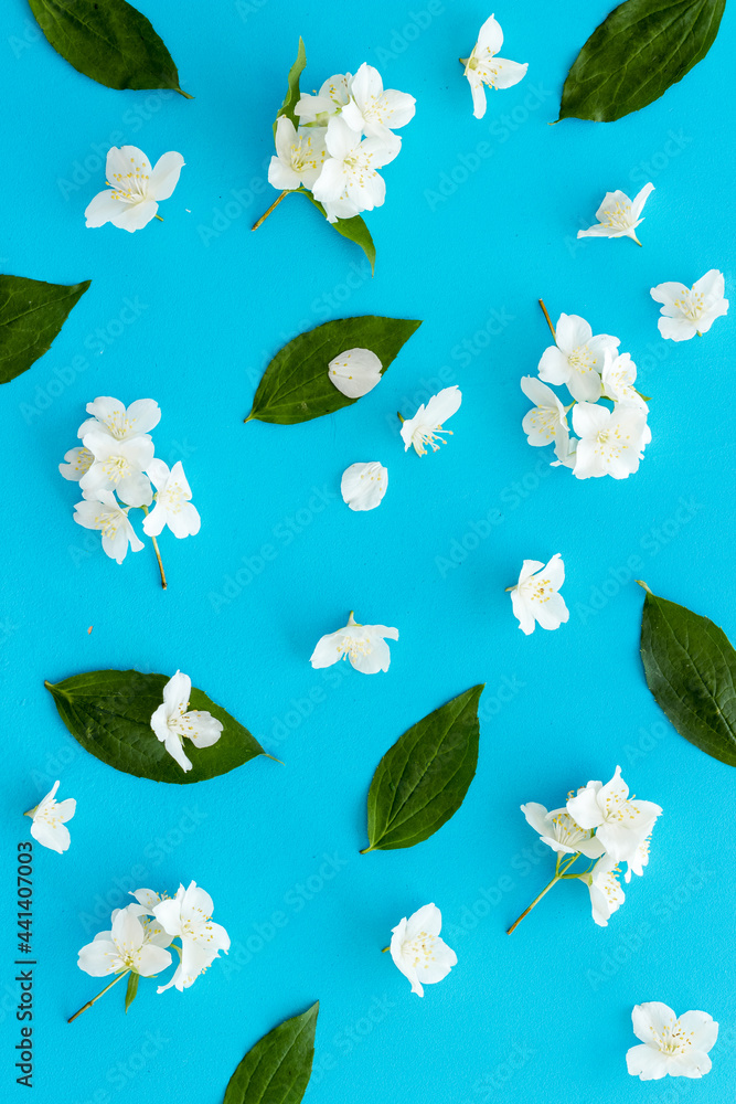 Summer flowers - jasmine with green leaves, top view Summer flowers - jasmine with green leaves, top view