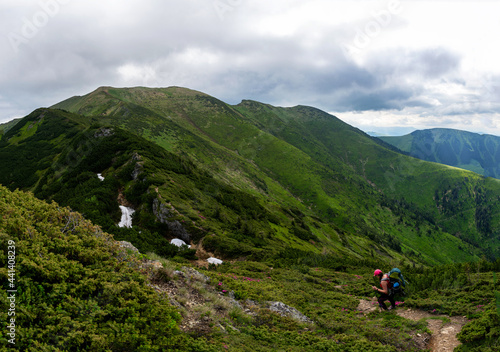 Girl hiker with a backpack stands on a rock in the mountains. Trekking life. Hike through the Carpathian mountains. Green mountain slopes and blooming rhododendron.