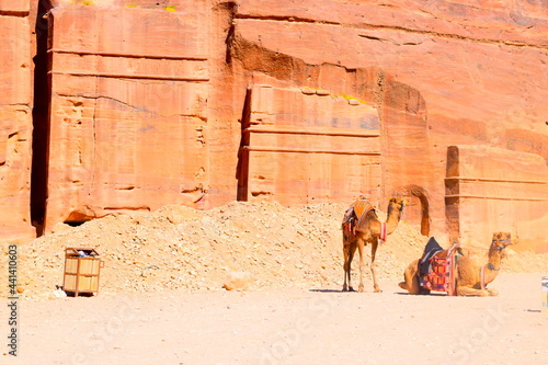 petra photo