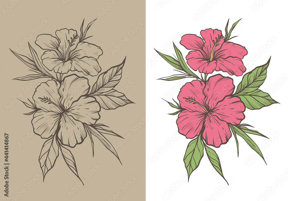 hibiscus flower rustic sketch - obrazy, fototapety, plakaty 