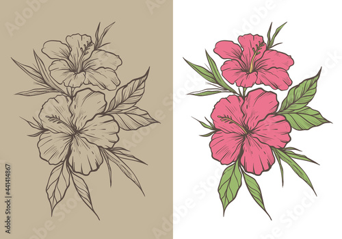 hibiscus flower rustic sketch photo