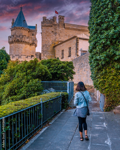 Tourist visiting the outside of the Royal Palace of the medieval town of Olite, in southern Navarra. Spain