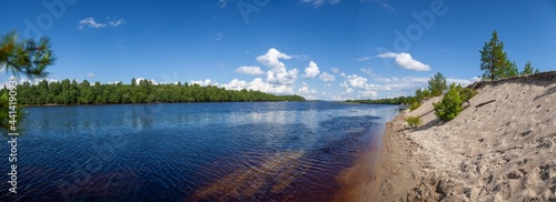 A soothing horizontal panorama of a majestic river with clear waters and a white sandy beach surrounded by pine forest. Through the clear water you can see the sandy shallow bottom