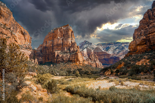 Obraz na plátně The beautiful mountain that climbs on the Angels Landing Trail trekking in Zion