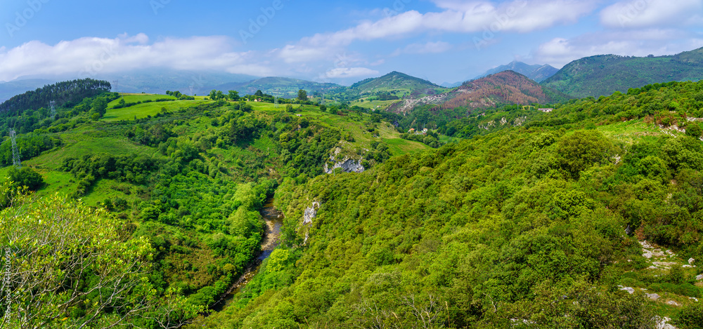 Obraz premium Aerial view of a lush valley of green vegetation and high mountains. Santander.