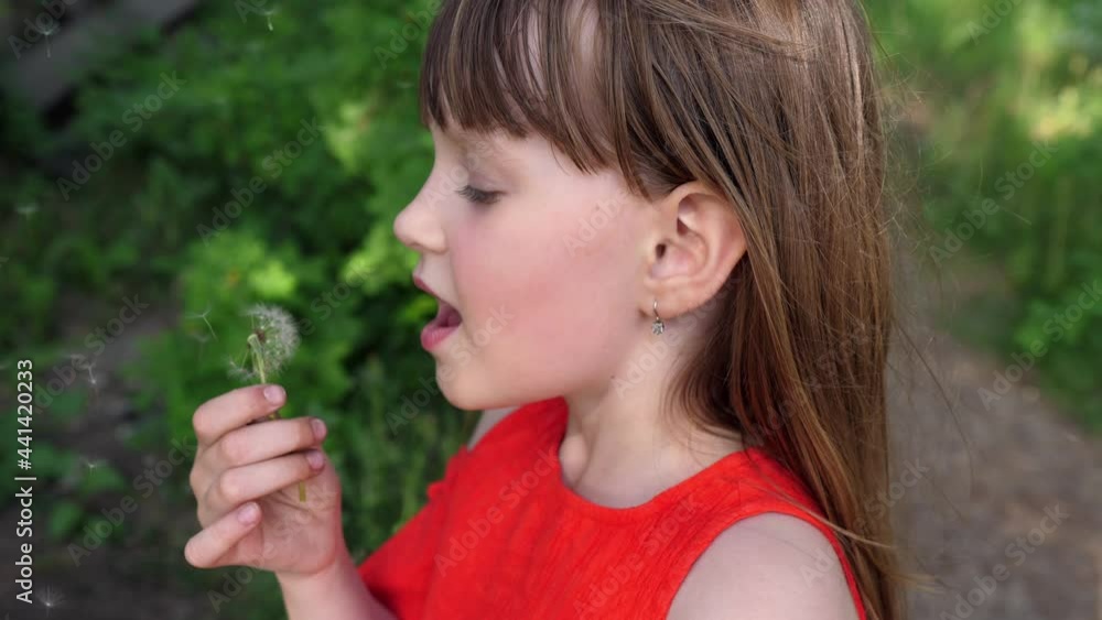 Portrait of a beautiful young girl blowing on a ripe dandelion. Portrait of a beautiful young girl blowing on a ripe dandelion.