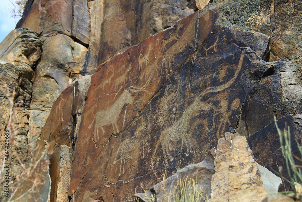 On a large high flat stone in the Tamgaly Tas tract there are many ancient images of animals, petroglyphs