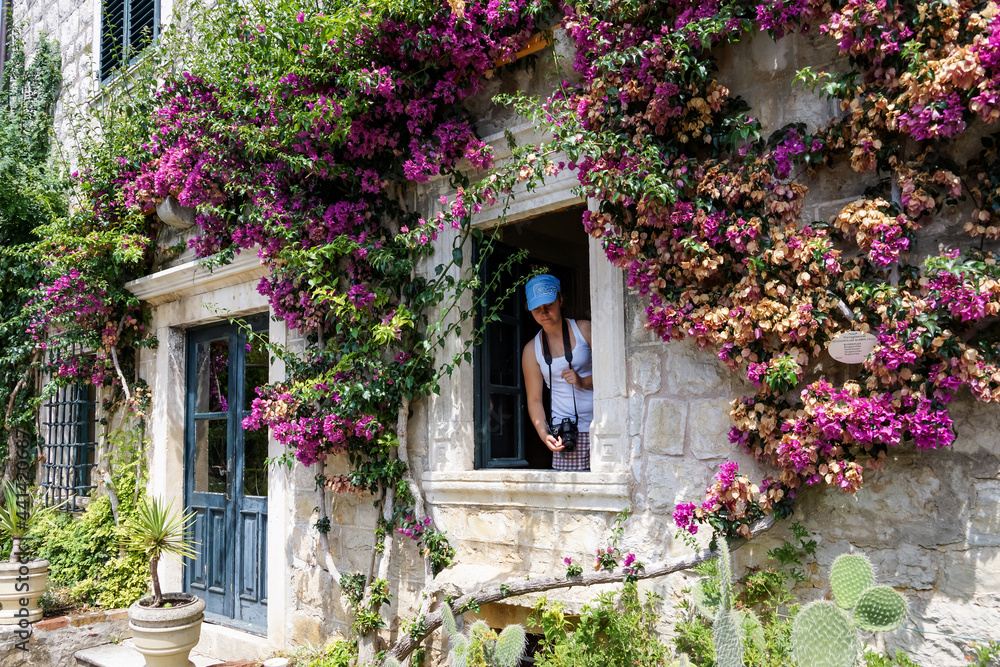 Young girl looking through the window in old house full of flowers. Bougainvillea glabra in the wall of old house Young girl looking through the window in old house full of flowers. Bougainvillea glabra in the wall of old house