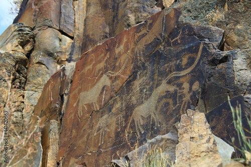 On a large high flat stone in the Tamgaly Tas tract there are many ancient images of animals, petroglyphs photo