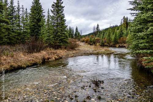 Elk Creek in late summer. Elk Creek Provincial Recreation Area, Alberta, Canada