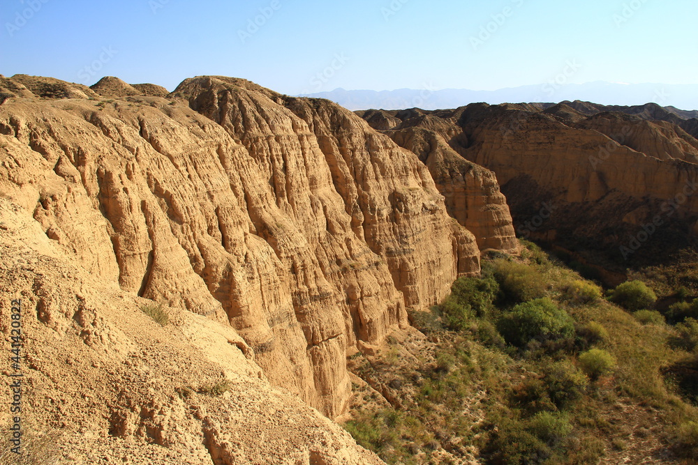 The relief ribbed high wall of the Lunar Canyon in Altyn-Emel in the sunlight at sunset, at the foot of the wall there are green bushes, in the distance the peaks of the mountain range, summer, sunny
