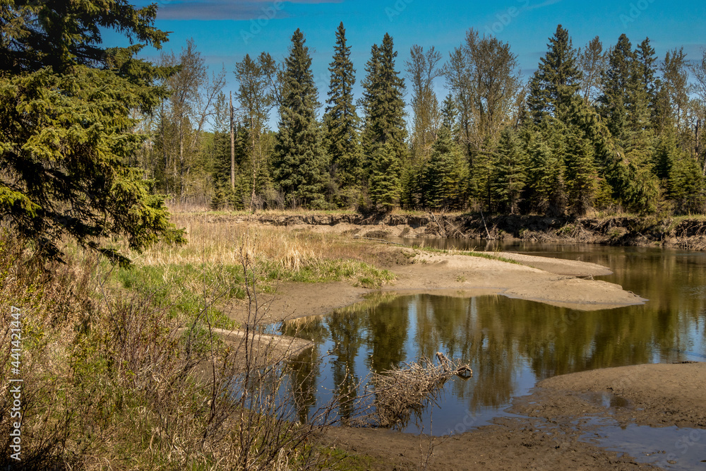 Little Red Deer River meanders through the park Red Lodge PP Alberta Canada Little Red Deer River meanders through the park Red Lodge PP Alberta Canada