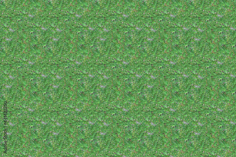 green grass plant pattern texture green grass plant pattern texture