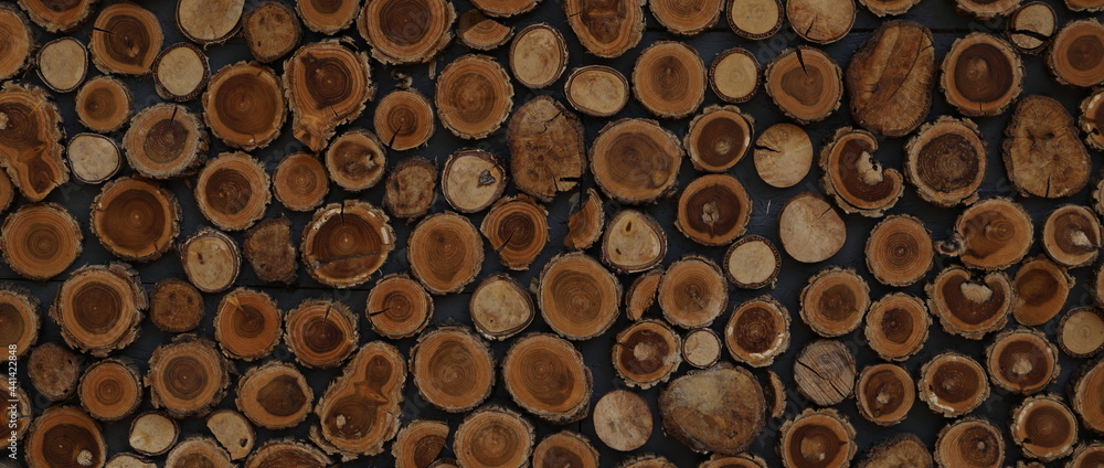 different round wooden disks as a background on a board different round wooden disks as a background on a board