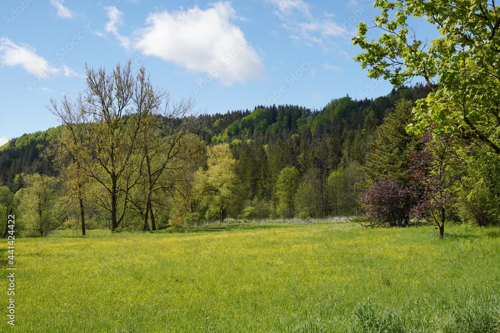 Schönes Feldkirchen/Westerham