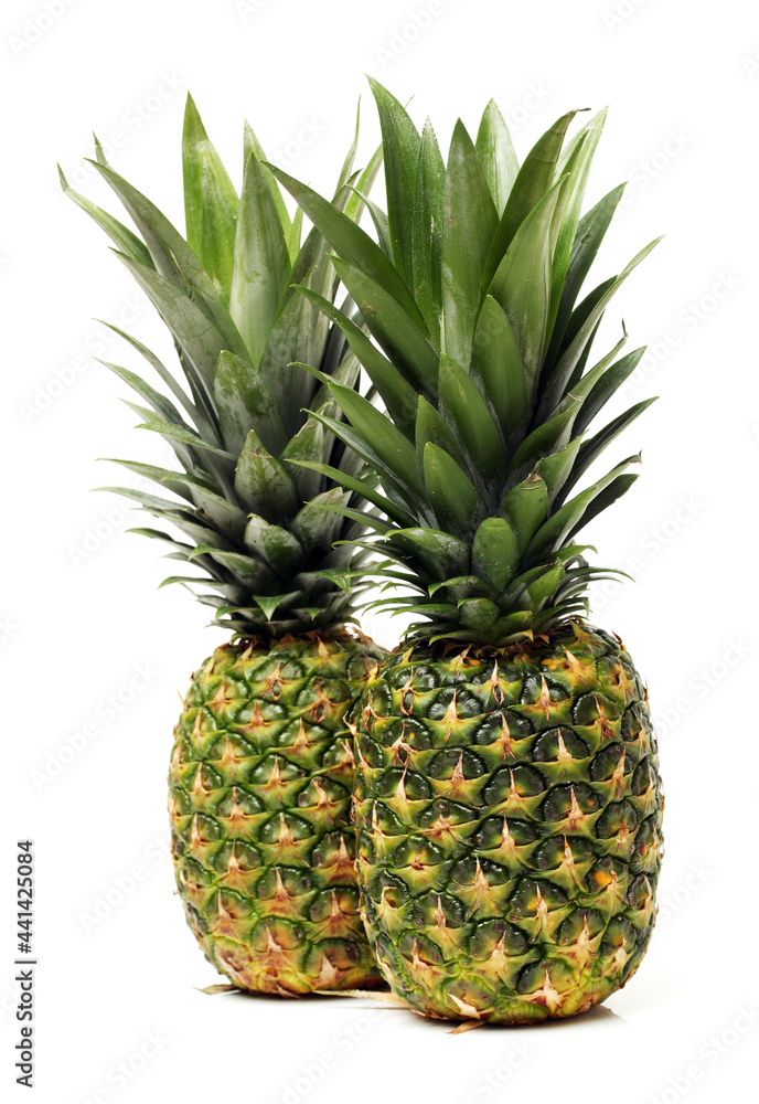 Fototapeta premium pineapple on white background