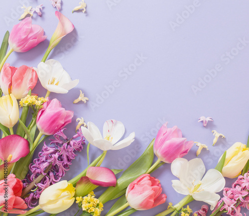 Fototapeta Naklejka Na Ścianę i Meble -  multicolored spring flowers on  purple background