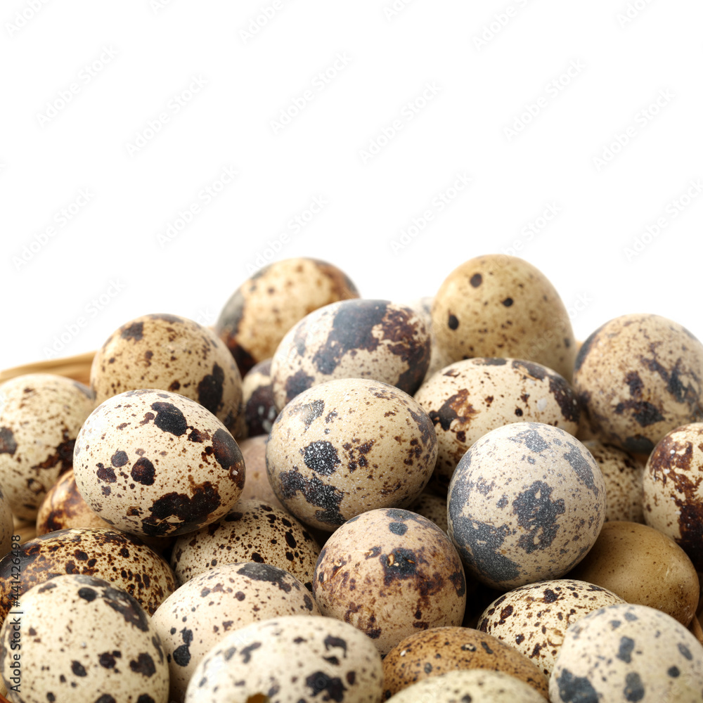 quail eggs on white background quail eggs on white background