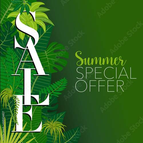 Affiche pour promouvoir les soldes d’été sur le thème de la nature avec un graphisme typographique et un fond vert d’ambiance jungle.