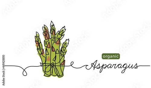 Asparagus bunch sketch vector illustration, background. One continuous line drawing art illustration with lettering organic asparagus bunch