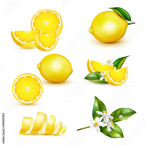 Lemon Realistic Set