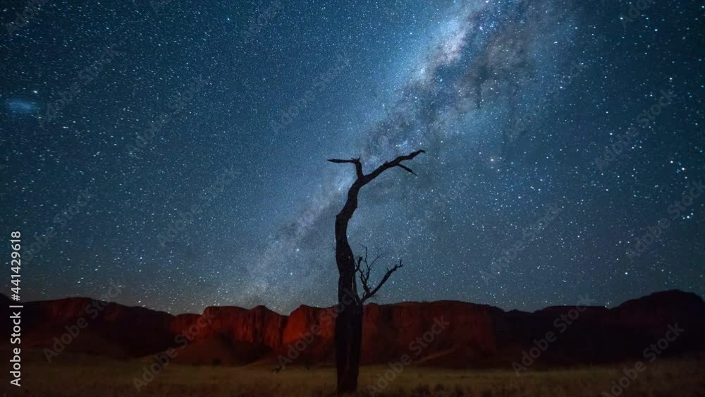 Lockdown Time Lapse Shot Of Bare Tree Against Star Field At Desert - Namib Desert, Namibia Lockdown Time Lapse Shot Of Bare Tree Against Star Field At Desert - Namib Desert, Namibia