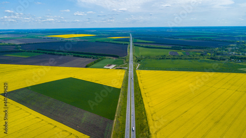 Aerial view of the rapeseed field