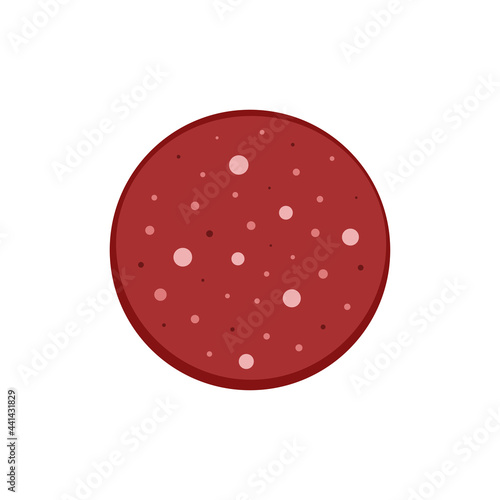 round slice of sausage salami isolated on white