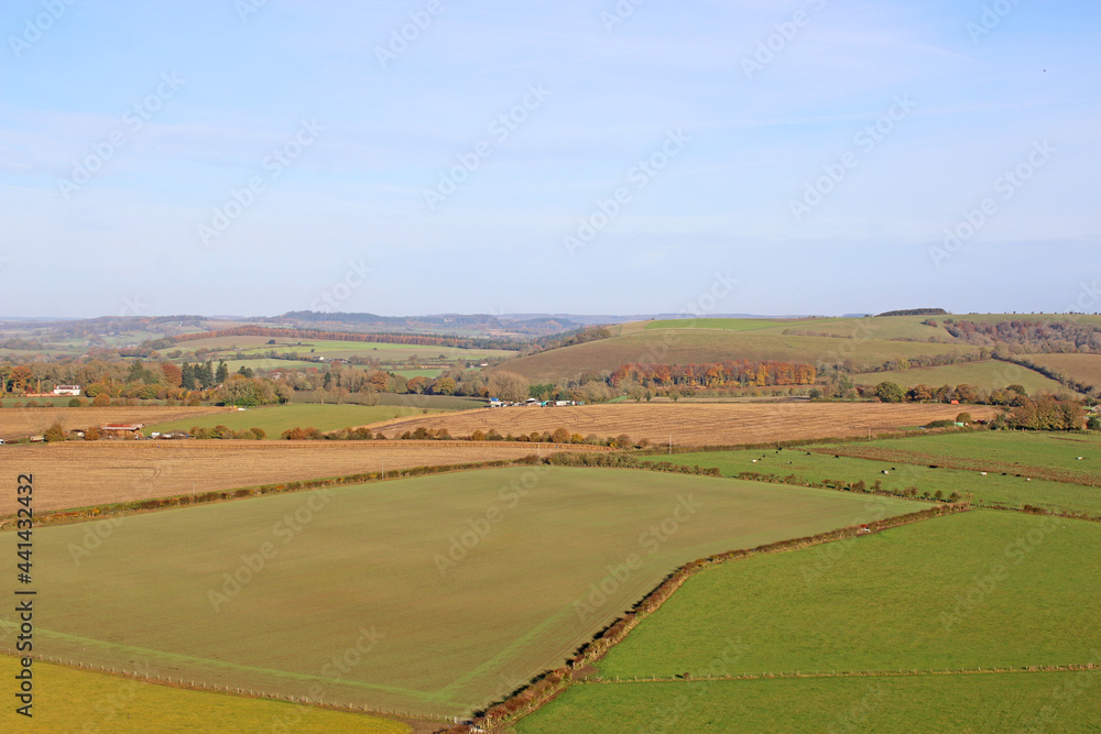 Fields at Monks Down in Wiltshire Fields at Monks Down in Wiltshire