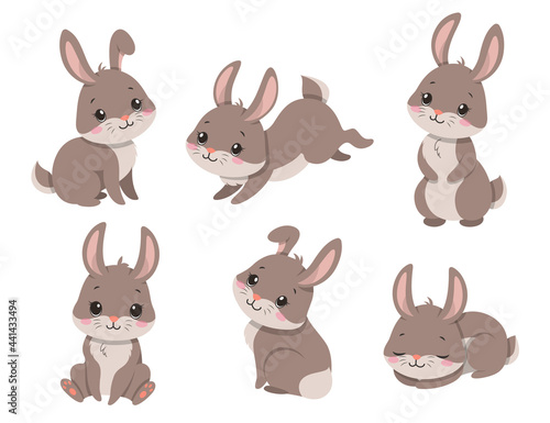 Cute cartoon rabbits