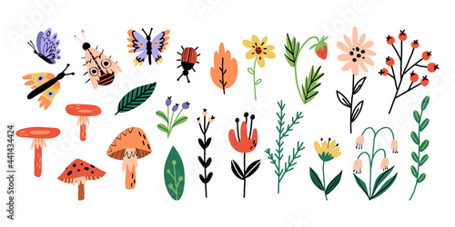 Forest flora and insects set. Various bloomy flowers, leaves, plants, mushrooms, wild berries, cute bugs and butterflies