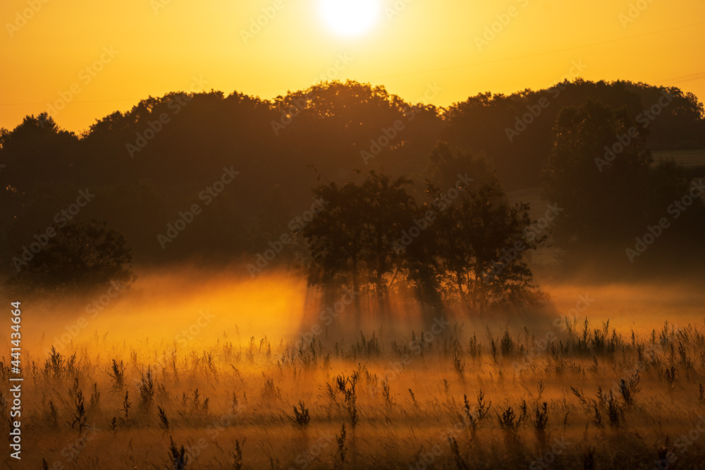 Fototapeta premium Sonnenaufgang über dem Hechtgraben in der Wetterau