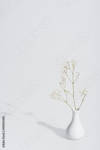 shadow near blooming flowers in vase on white background