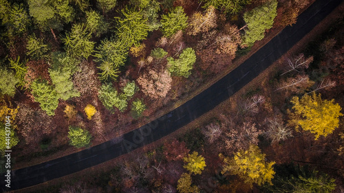 Drone view - Autumn leaves in the forest © Adam