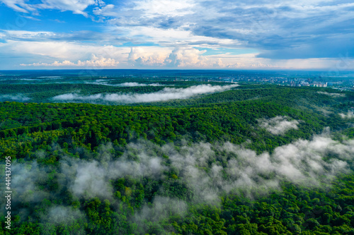 Aerial view of forest and fog