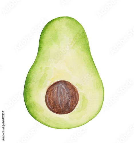 Avocado, exotic tropical food. Fresh ingredient for market, menu, restaurant. Watercolor illustration isolated on white background.