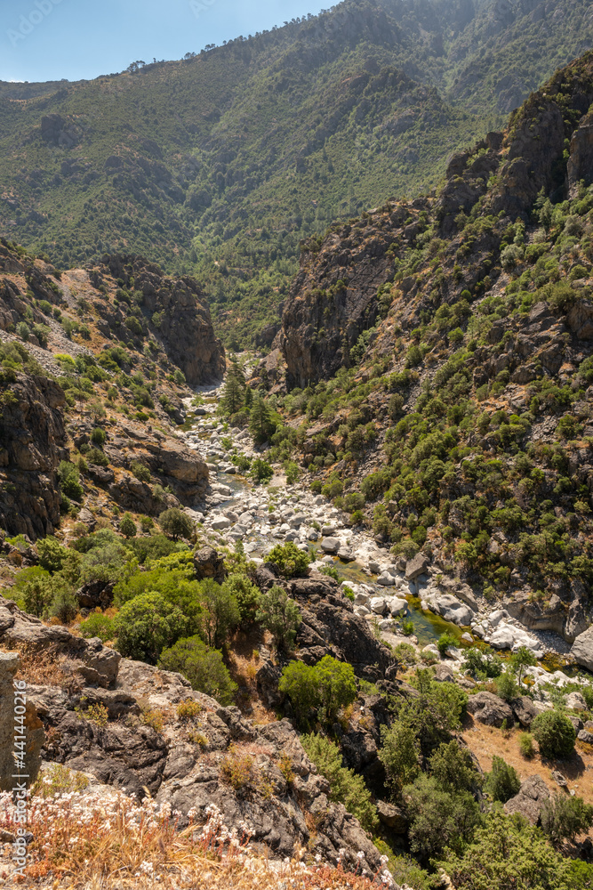 Golo river in central Corsica