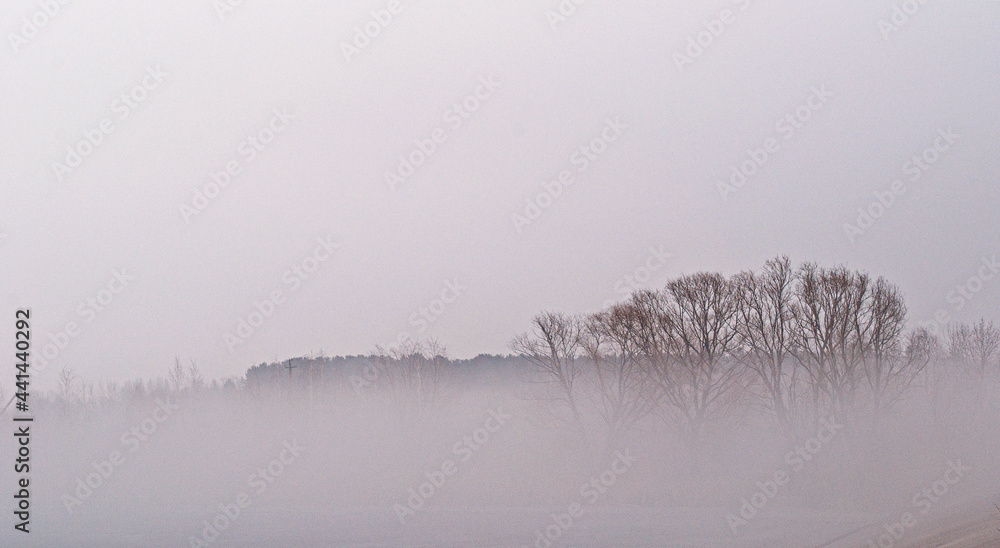 Fototapeta premium fog on the river