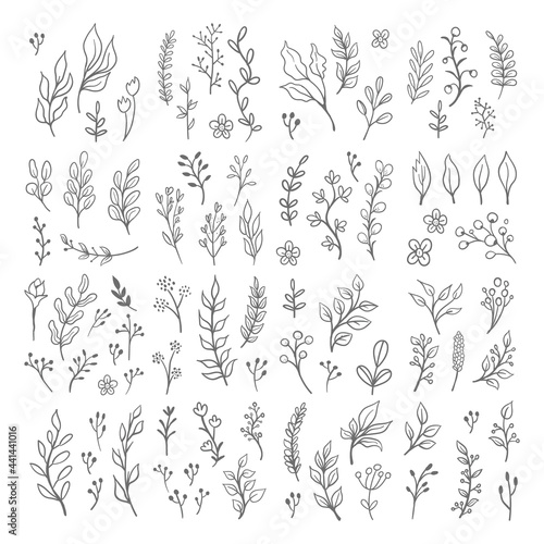 Floral graphic elements vector set. Flowers and plants hand drawn illustrations. Leaves and branches.