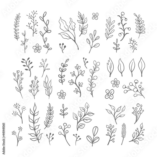 Floral graphic elements vector set. Flowers and plants hand drawn illustrations. Leaves and branches.