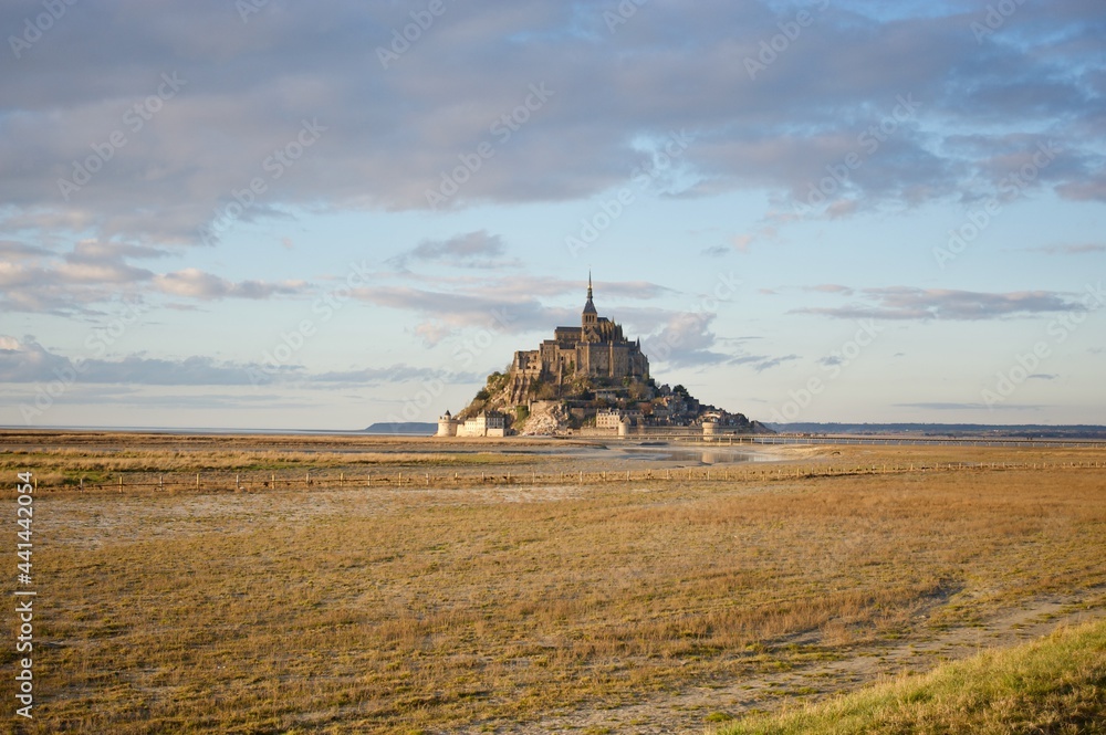 Fototapeta premium salty meadow in winter with Mont saint michel in the background