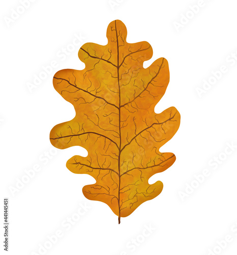 Orange oak leaf fallen from the tree. Plant, nature, autumn. Digital illustration isolated on a white background.