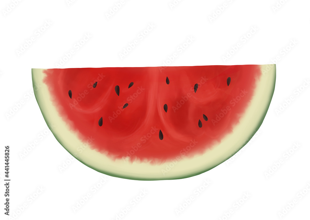 Digital illustration. A slice of refreshing sweet watermelon. Berry, summer. Isolated on a white background. Digital illustration. A slice of refreshing sweet watermelon. Berry, summer. Isolated on a white background.