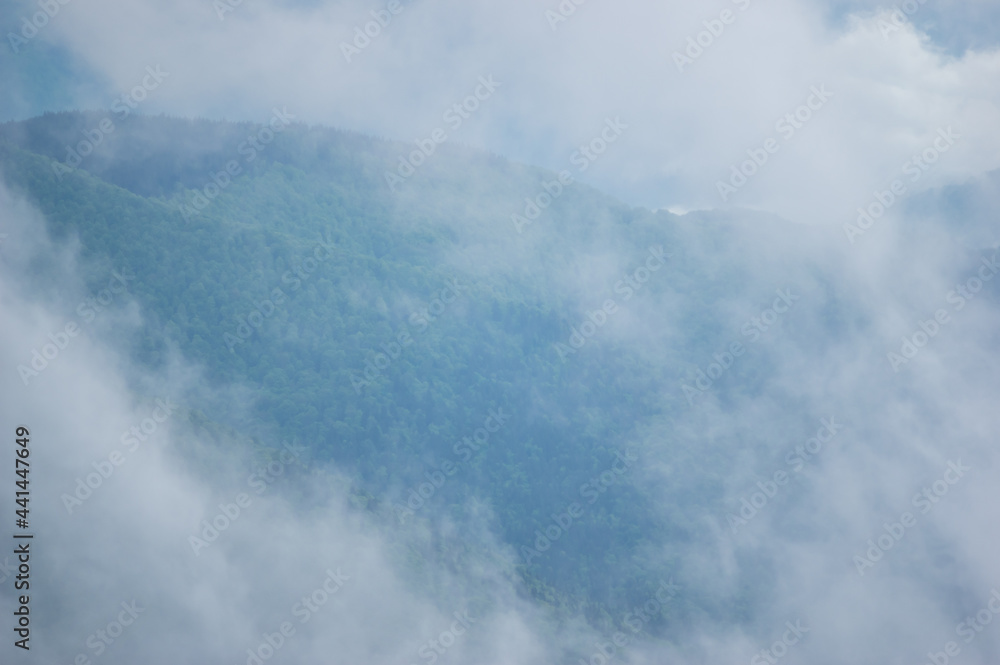 Fog on a mountain range in the Carpathian mountains Fog on a mountain range in the Carpathian mountains