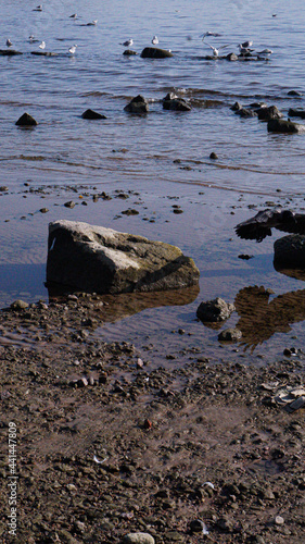 stones on the beach