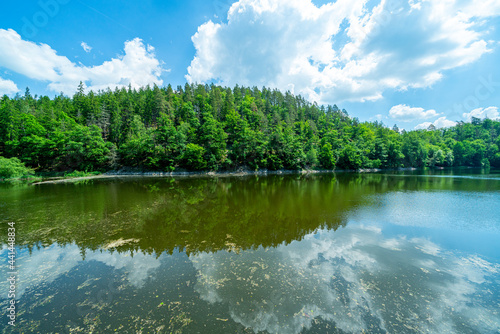 landscape with lake