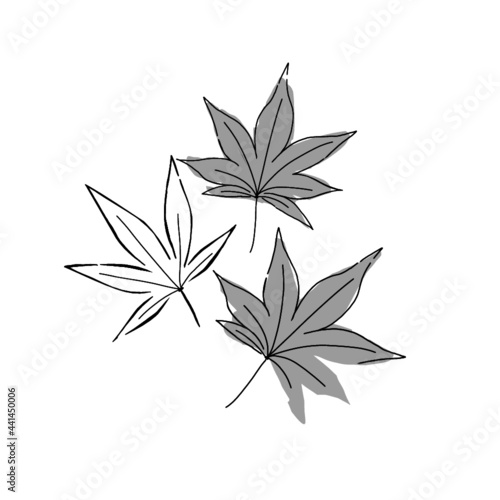 hand drawn illustration of Japanese maple leaf in simple icon drawing  © Mizuho Call