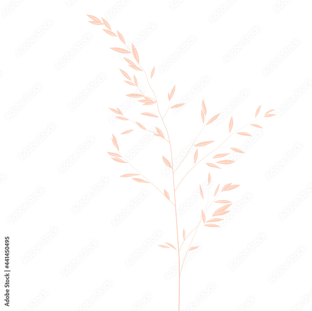 Φωτογραφία Vector stock illustration of pampas grass