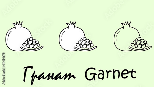 A set of garnet fruit objects with the inscription "garnet" in Russian and English. Simple vector illustration, eps
